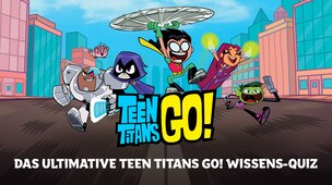 Das ultimative Teen Titans Go! Wissens-Quiz