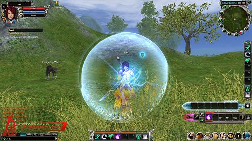 Perfect World international