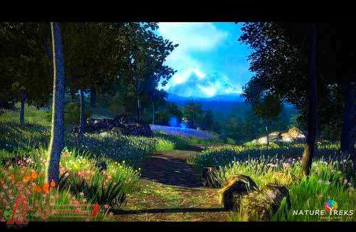 Nature Treks:Healing with Color Nature Treks:Healing with Color