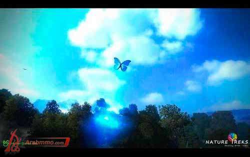 Nature Treks:Healing with Color Nature Treks:Healing with Color