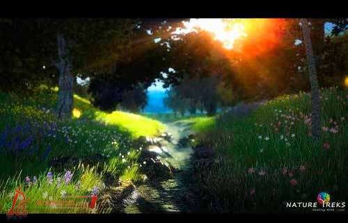 Nature Treks:Healing with Color Nature Treks:Healing with Color