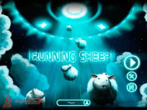 Running Sheep