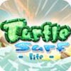 Turtle Surf