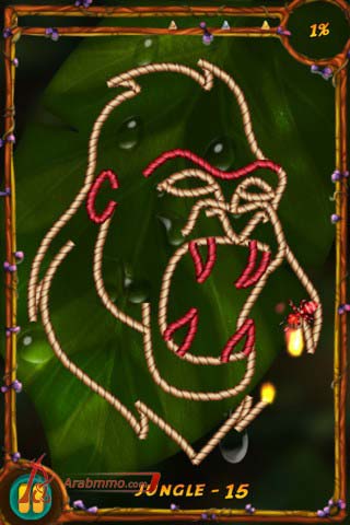 Burn the Rope Worlds