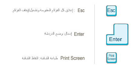 دليل لعبة Silk Road : التحكم