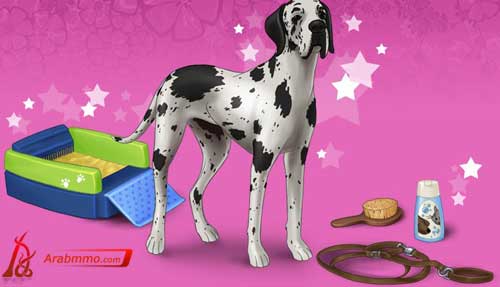 ألقى نظرة على ما ينتظرك في لعبة صبايا