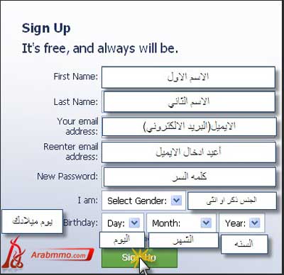 كيفية بداية رحلة النينجا في لعبة Ninja Saga