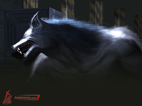 رسومات اللعبة فريق الذيب (Wolfteam)