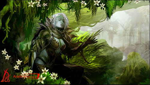 الريسات في لعبة GUILD WARS 2