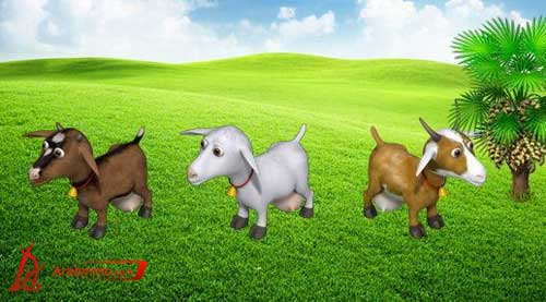 المزرعة السعيدة