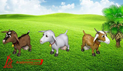 المزرعة السعيدة