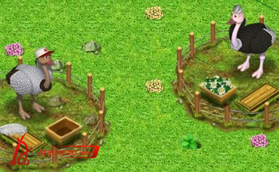 المزرعة السعيدة