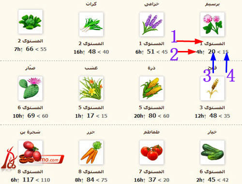 المزرعة السعيدة