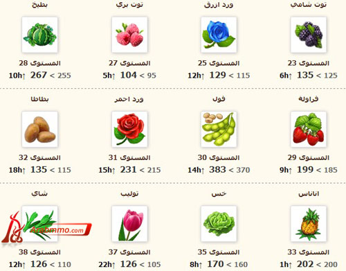 المزرعة السعيدة