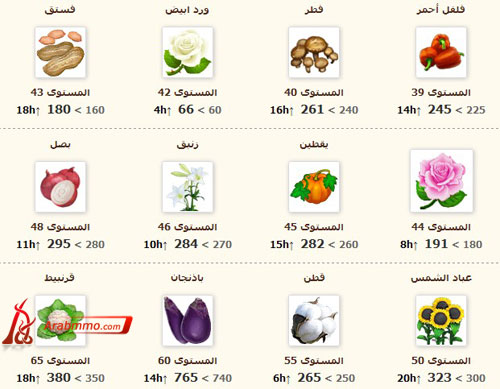 المزرعة السعيدة