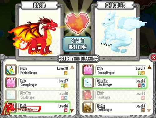 لعبة Dragon City مدينة التنين